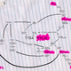 Illustration for article titled The Tangled Relationship Web That Kylie Jenner and Tyga Hath Wrought, Visualized